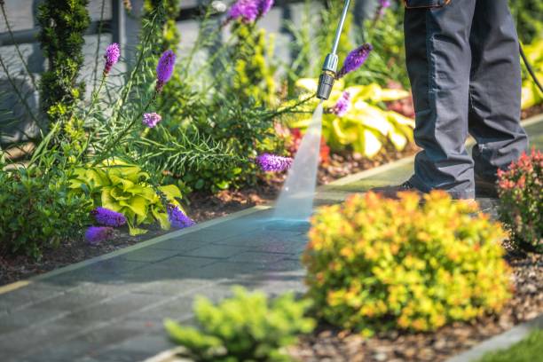 Best Pool Deck Cleaning  in Dellwood, MO